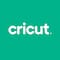 Cricut Joy™ Smart Label™ Removable Writable Vinyl, Transparent